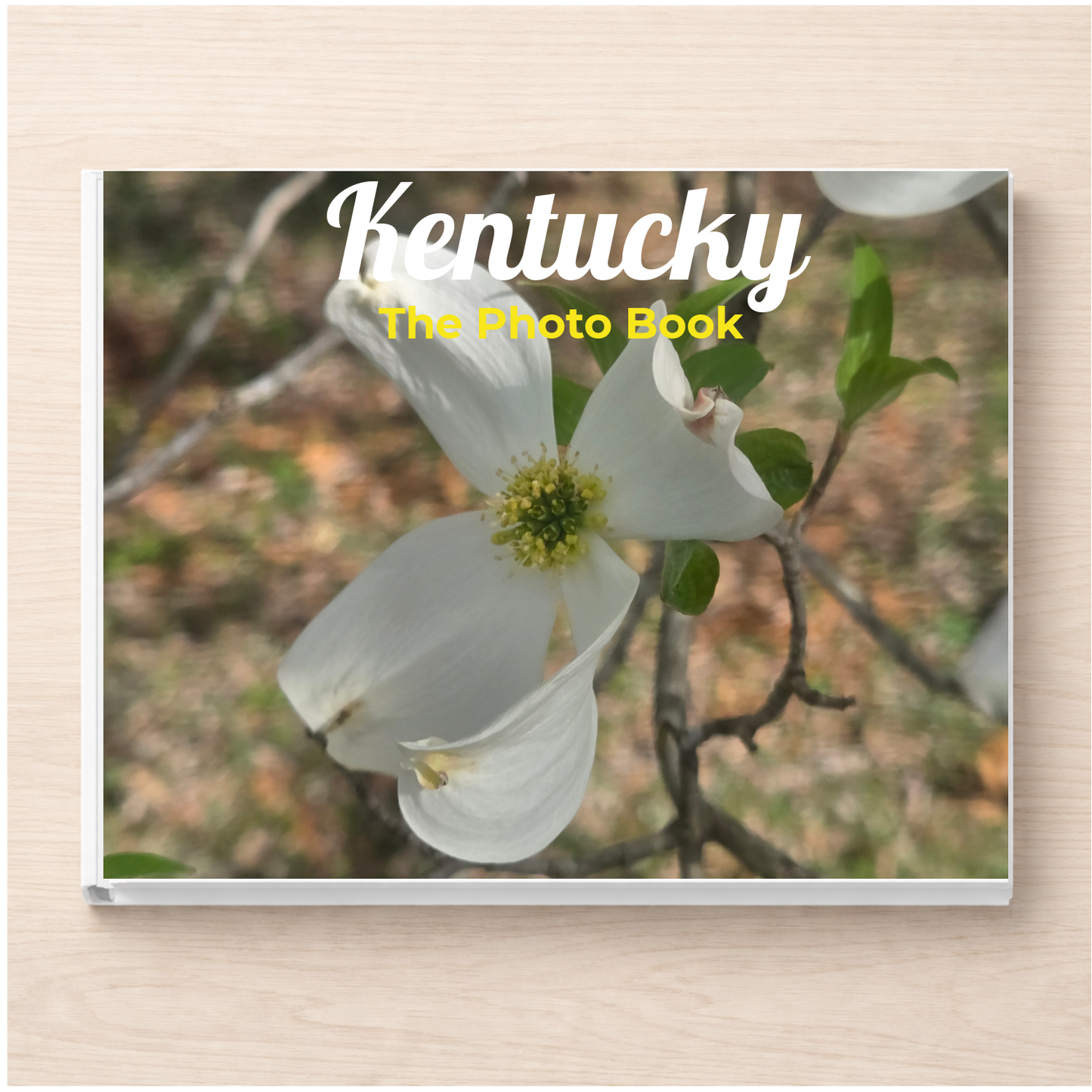 Kentucky: The Photo Book