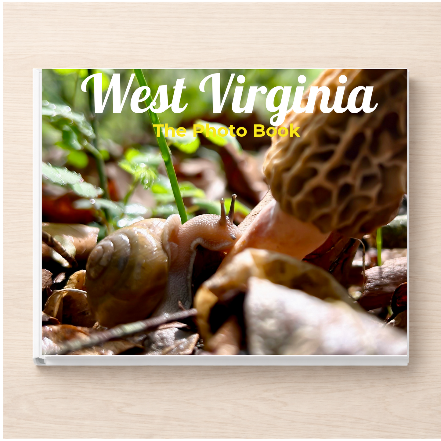 West Virginia: The Photo Book
