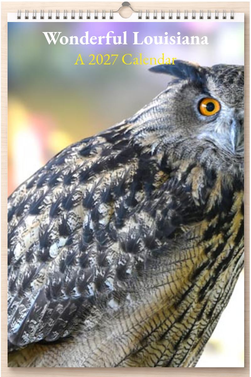 Wonderful Louisiana: A 2027 Calendar