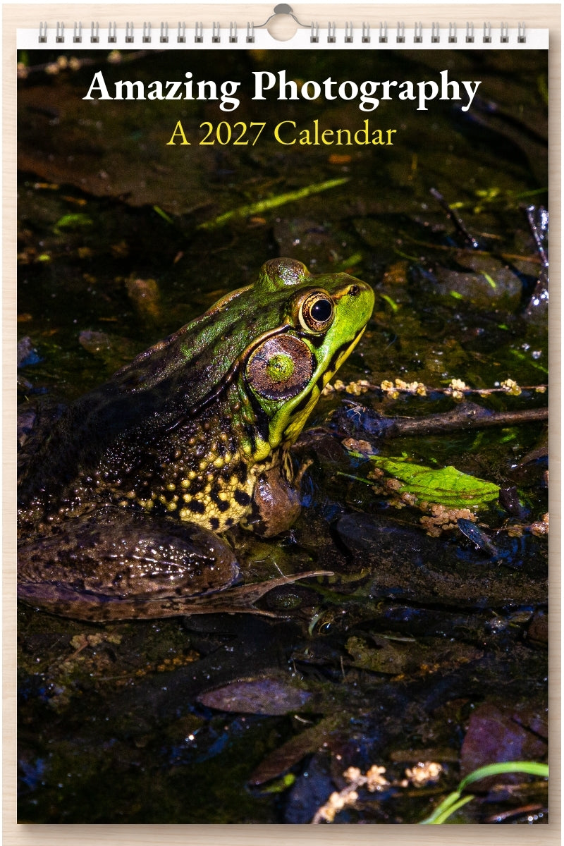 Amazing Photography: A 2027 Calendar