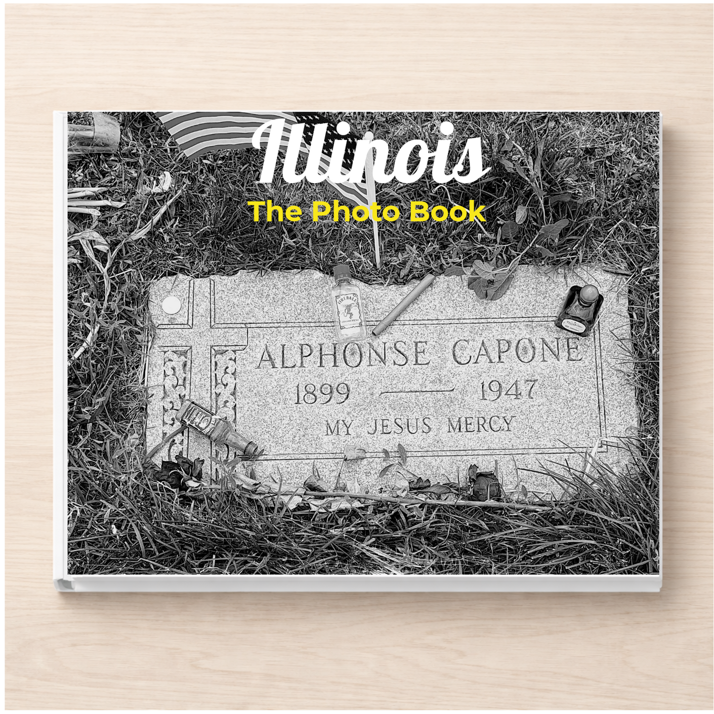Illinois: The Photo Book