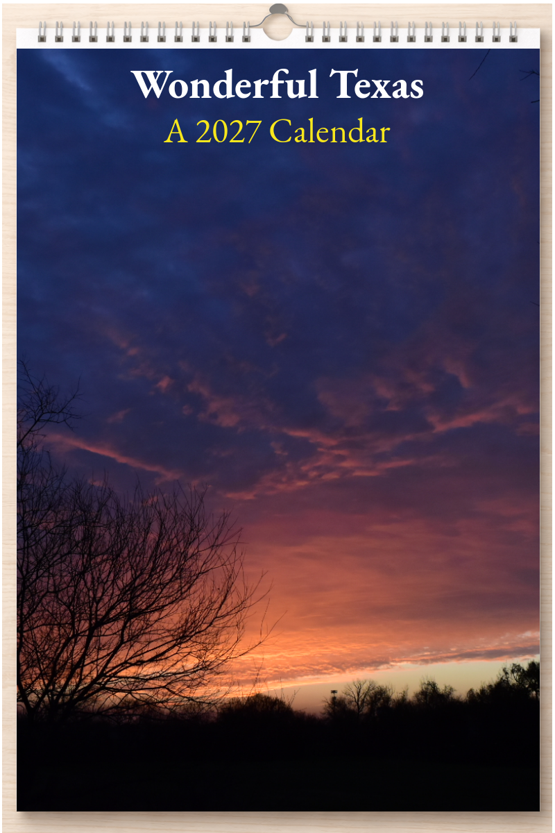 Wonderful Texas: A 2027 Calendar