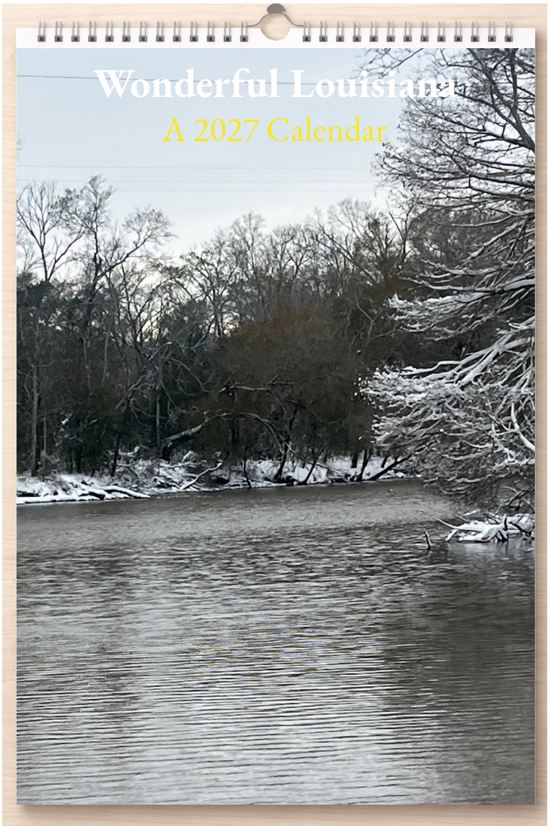 Wonderful Louisiana: A 2027 Calendar