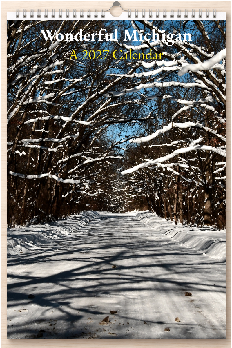 Wonderful Michigan: A 2027 Calendar