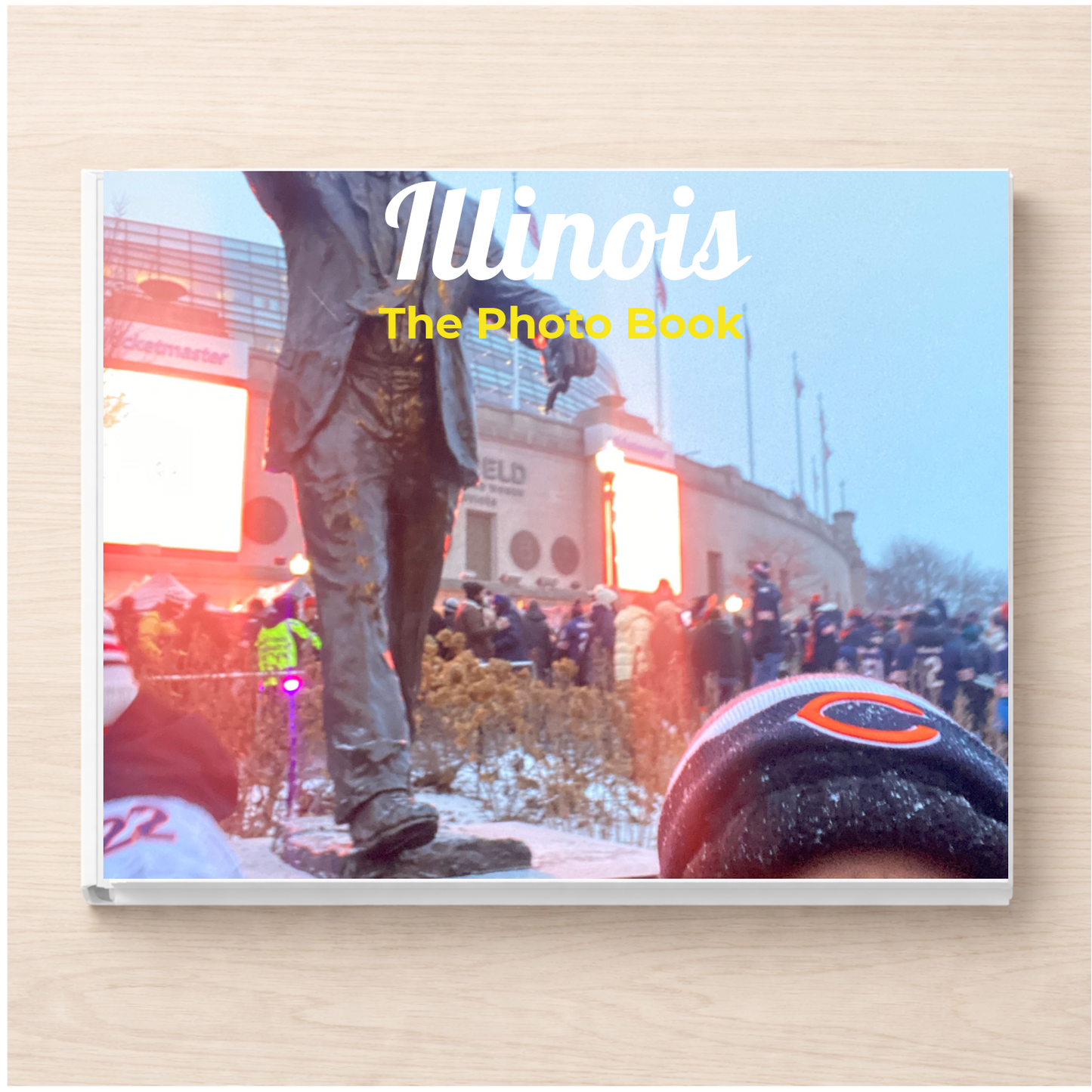 Illinois: The Photo Book