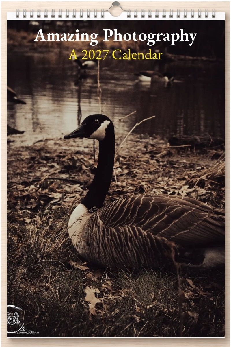 Amazing Photography: A 2027 Calendar