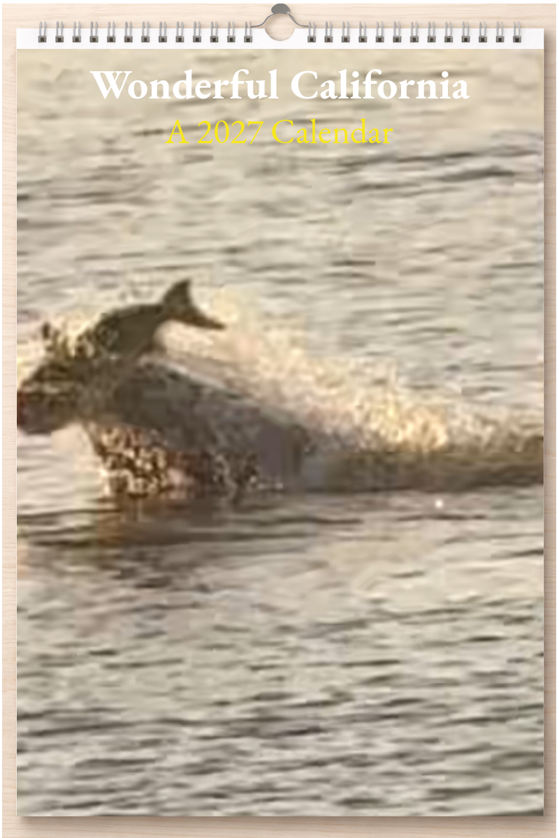Wonderful California: A 2027 Calendar
