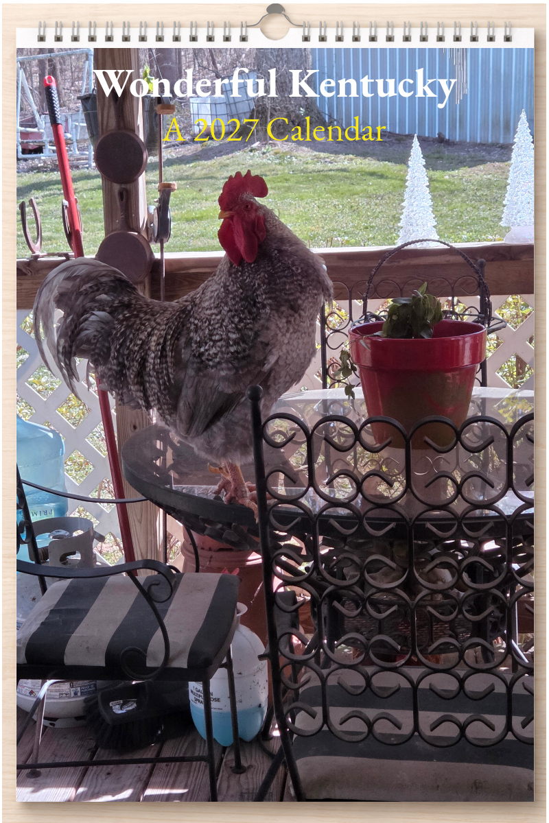 Wonderful Kentucky: A 2027 Calendar