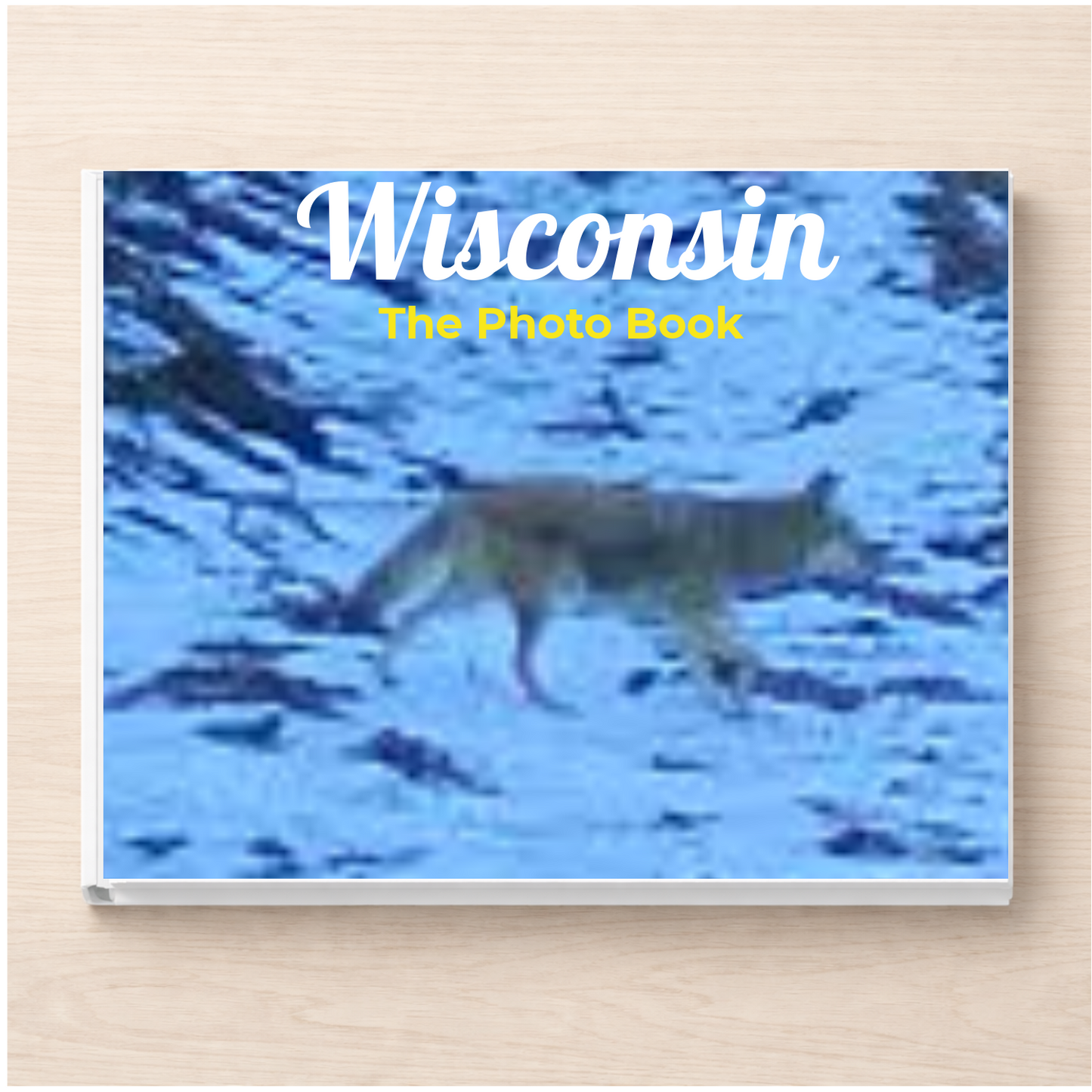Wisconsin: The Photo Book