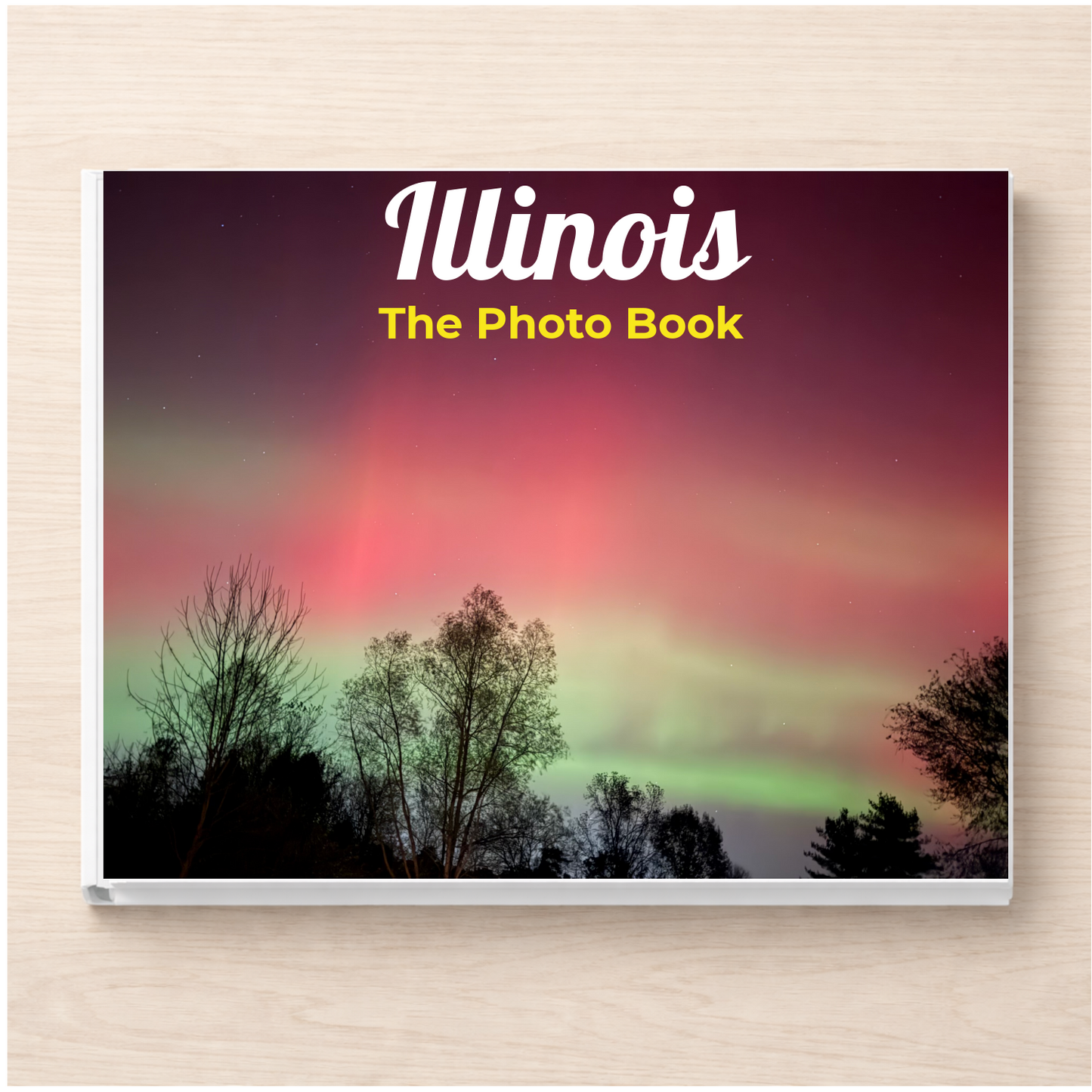 Illinois: The Photo Book