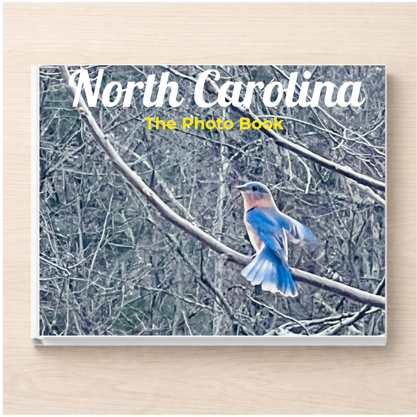 North Carolina: The Photo Book