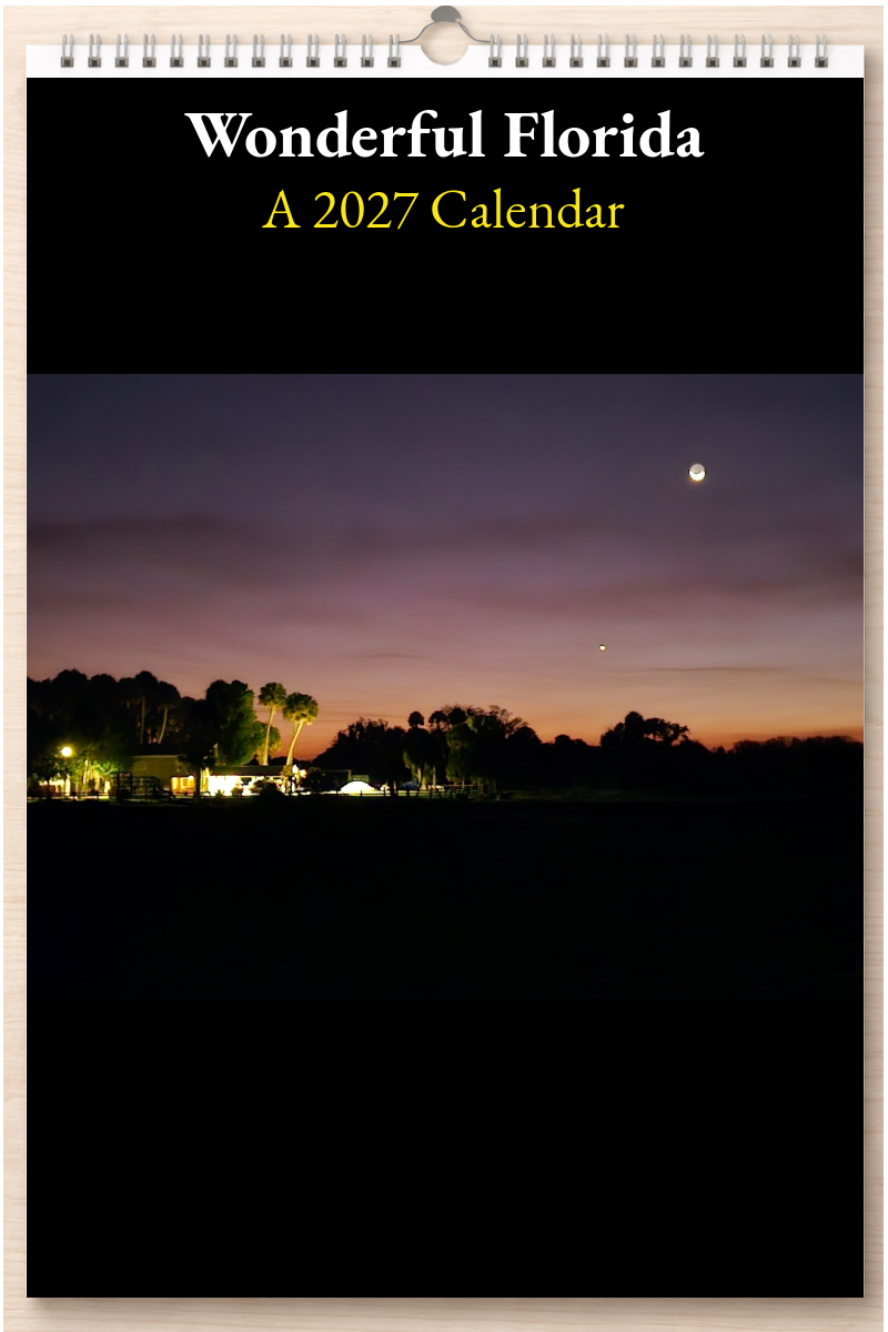 Wonderful Florida: A 2027 Calendar