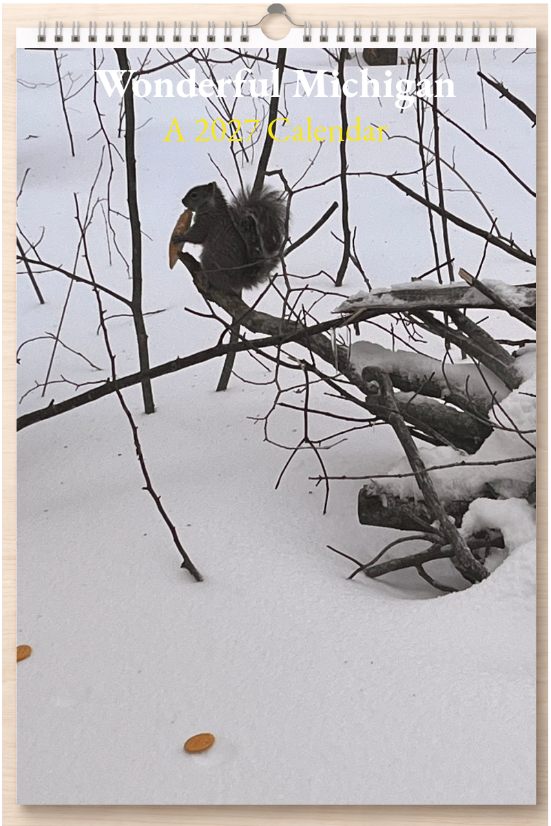 Wonderful Michigan: A 2027 Calendar