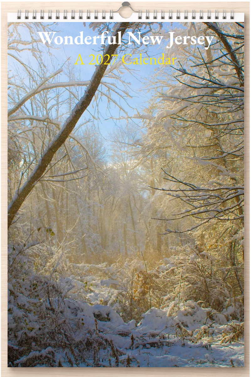 Wonderful New Jersey: A 2027 Calendar