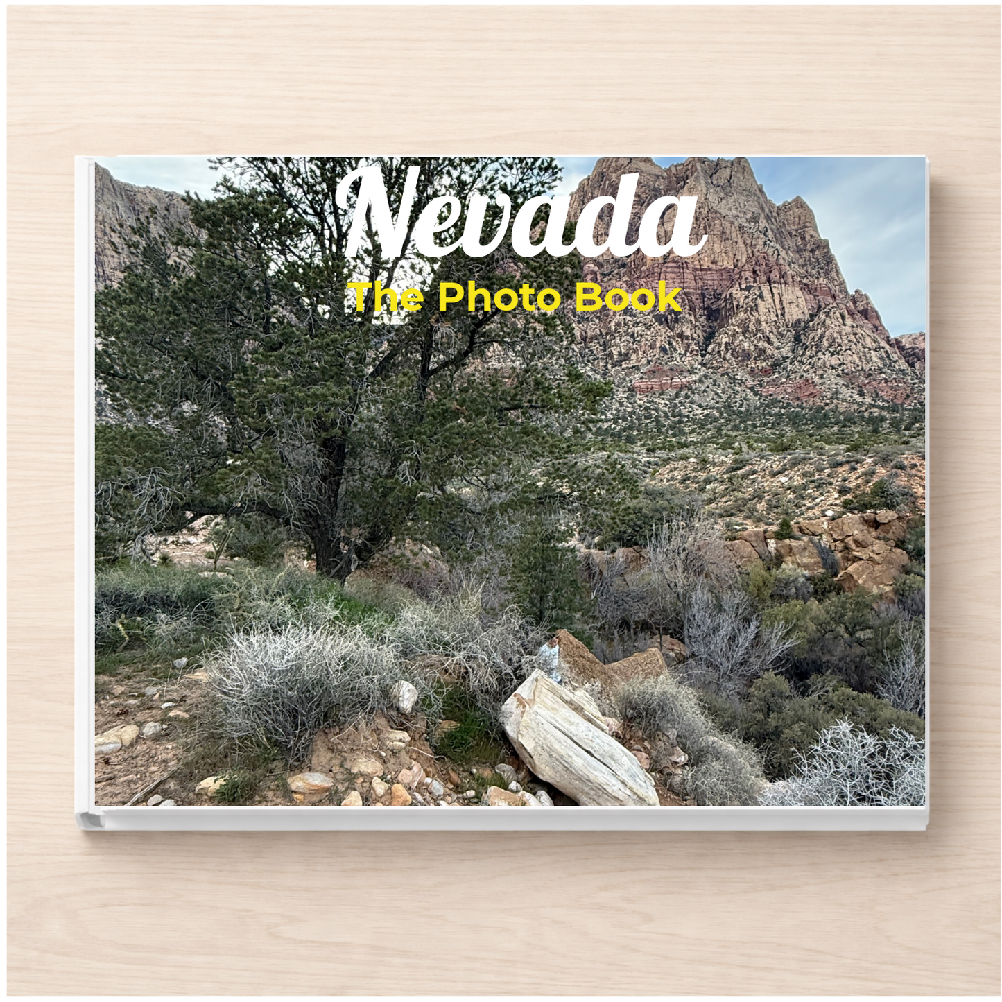 Nevada: The Photo Book