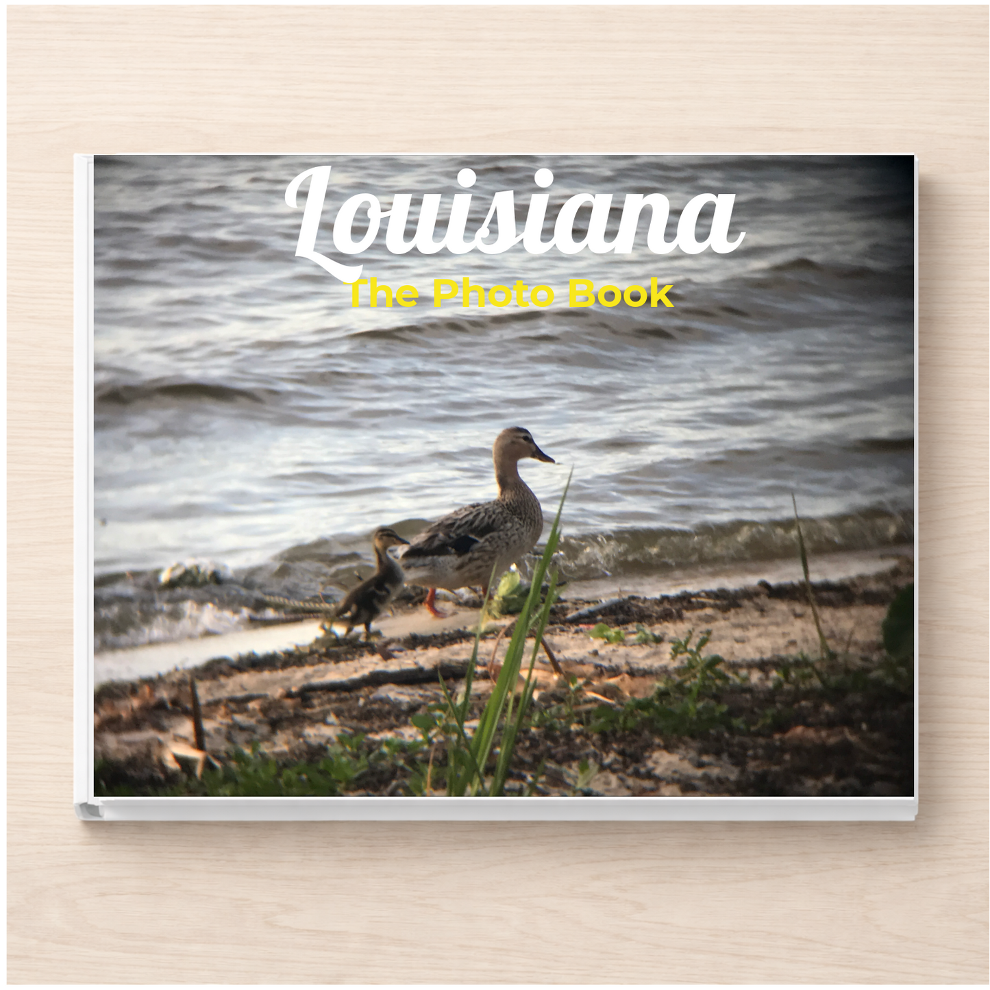 Louisiana: The Photo Book