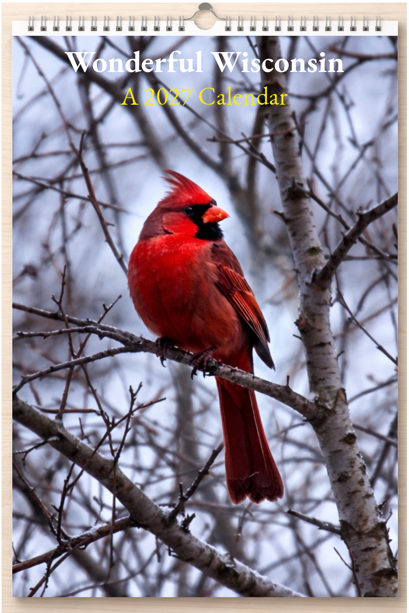 Wonderful Wisconsin: A 2027 Calendar