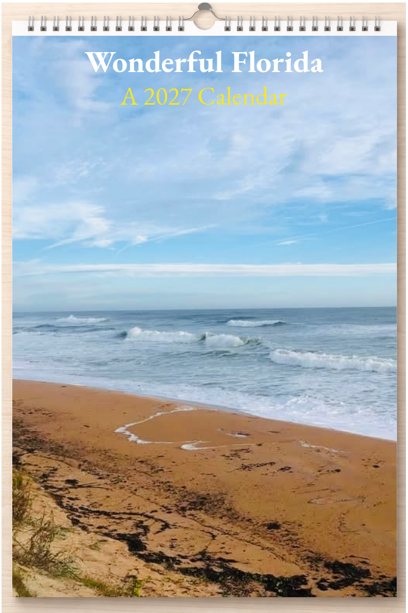 Wonderful Florida: A 2027 Calendar
