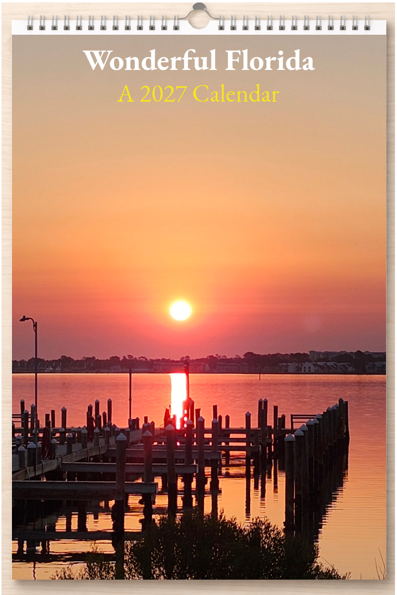 Wonderful Florida: A 2027 Calendar
