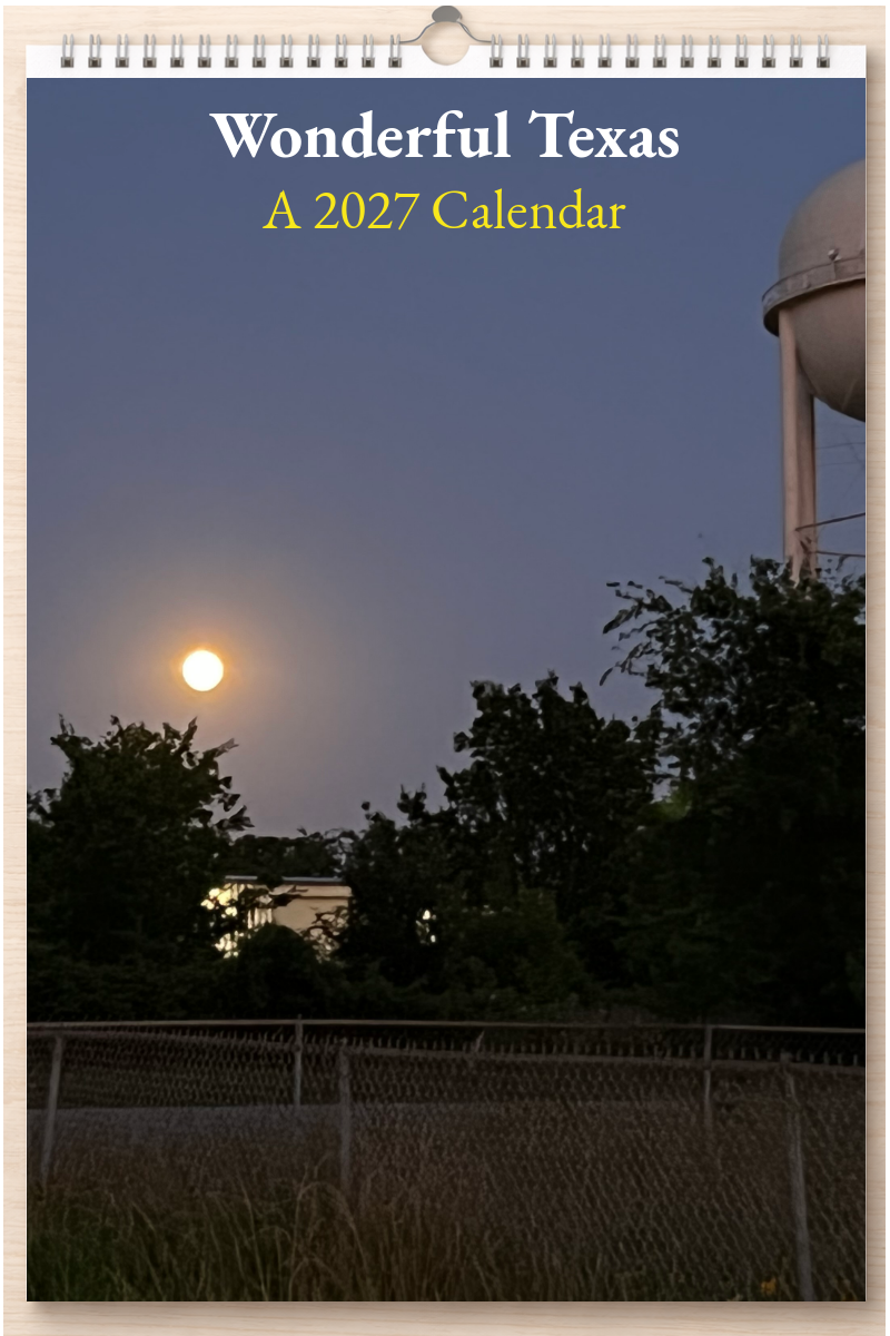 Wonderful Texas: A 2027 Calendar