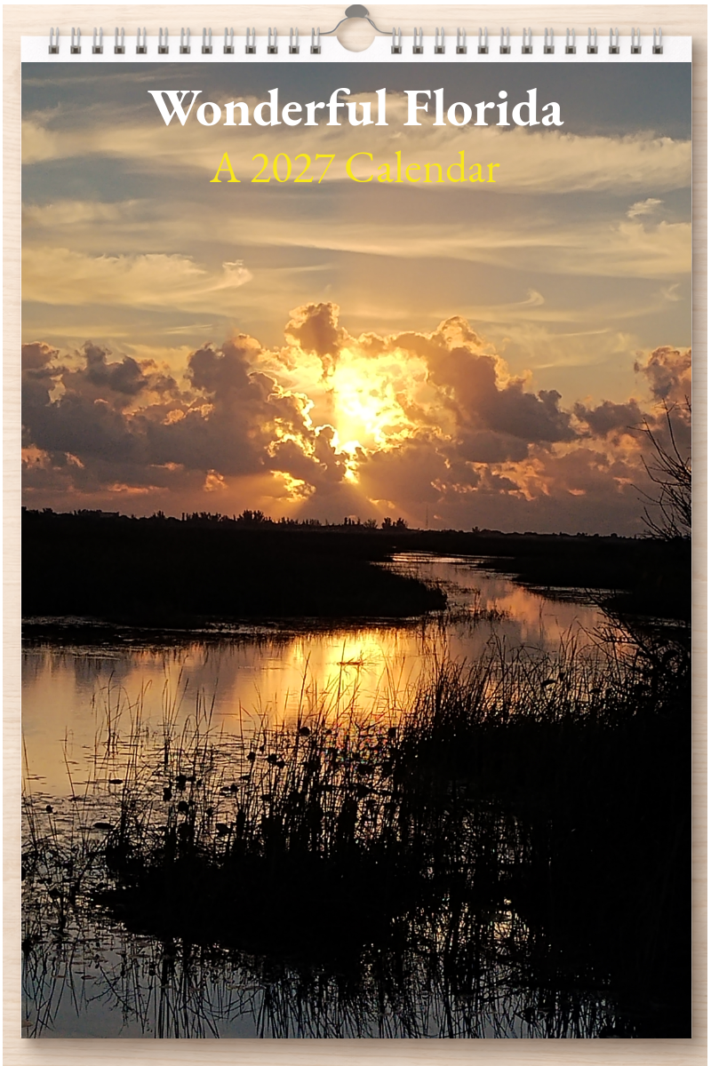 Wonderful Florida: A 2027 Calendar