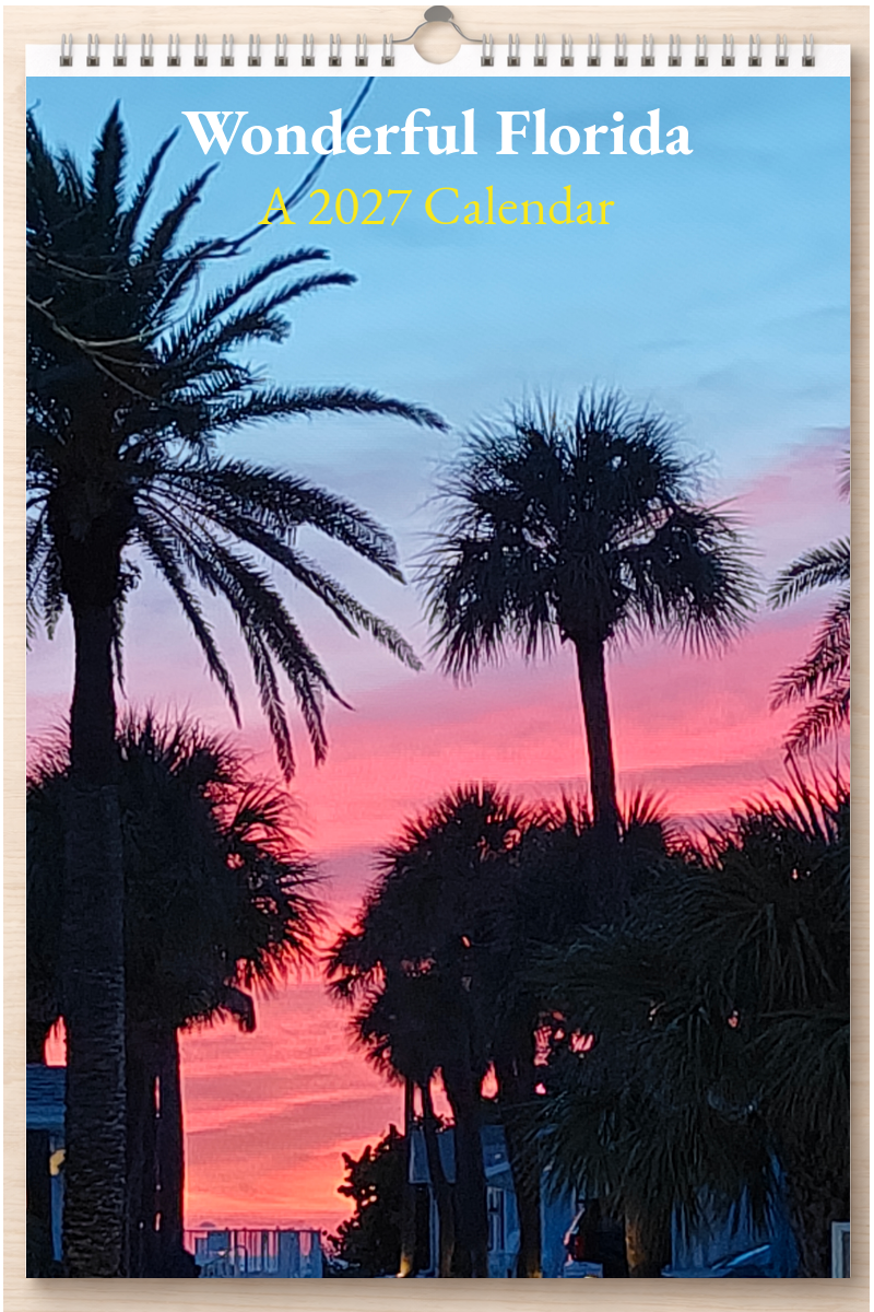 Wonderful Florida: A 2027 Calendar