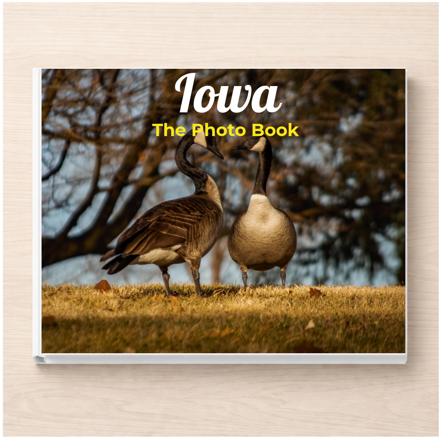 Iowa: The Photo Book
