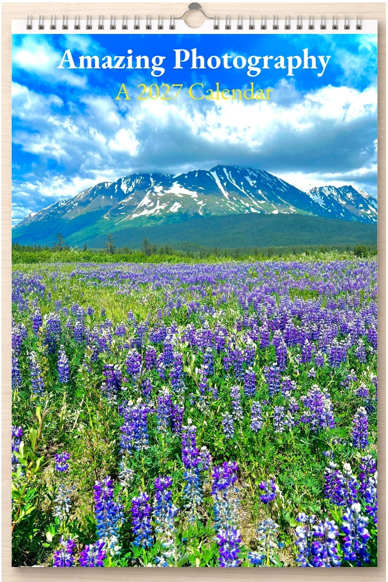 Amazing Photography: A 2027 Calendar