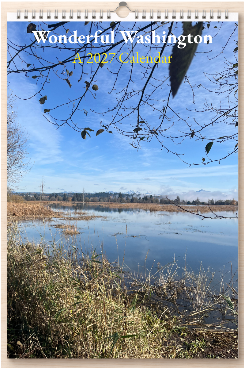 Wonderful Washington: A 2027 Calendar