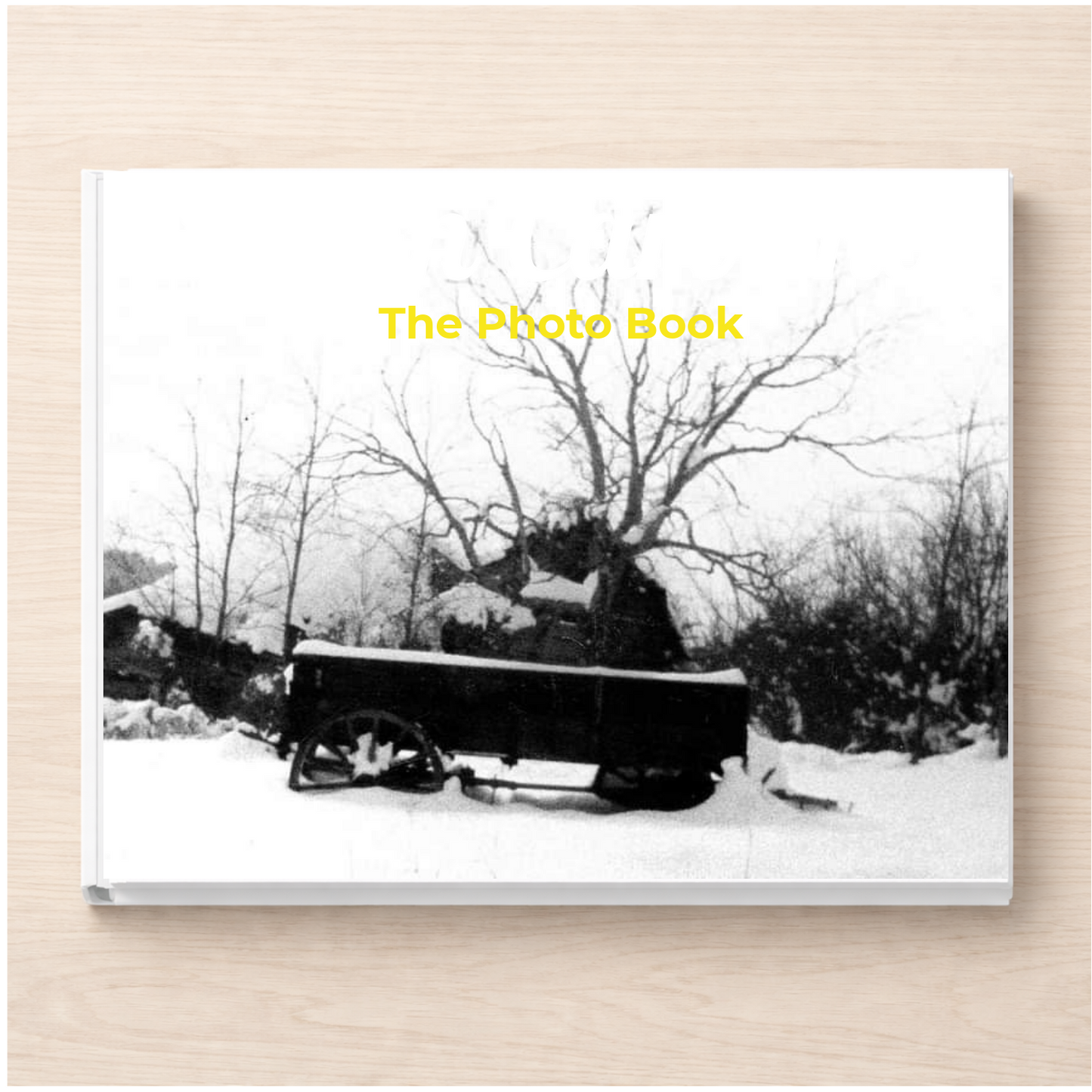 North Carolina: The Photo Book