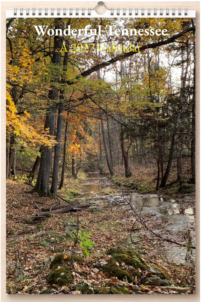Wonderful Tennessee: A 2027 Calendar