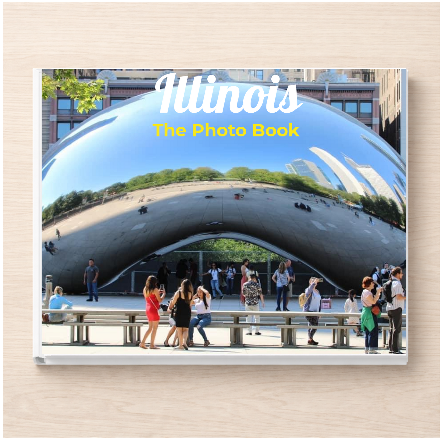 Illinois: The Photo Book