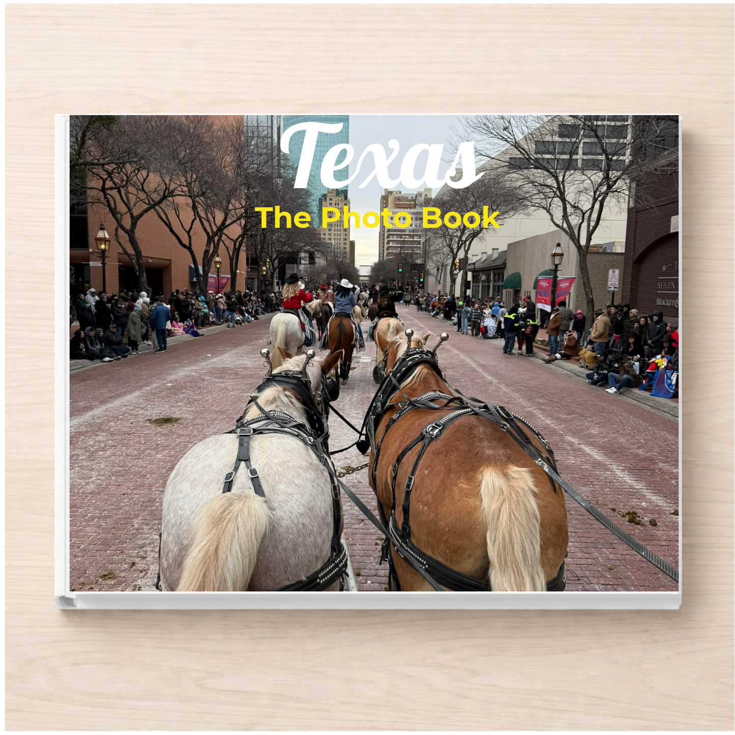 Texas: The Photo Book