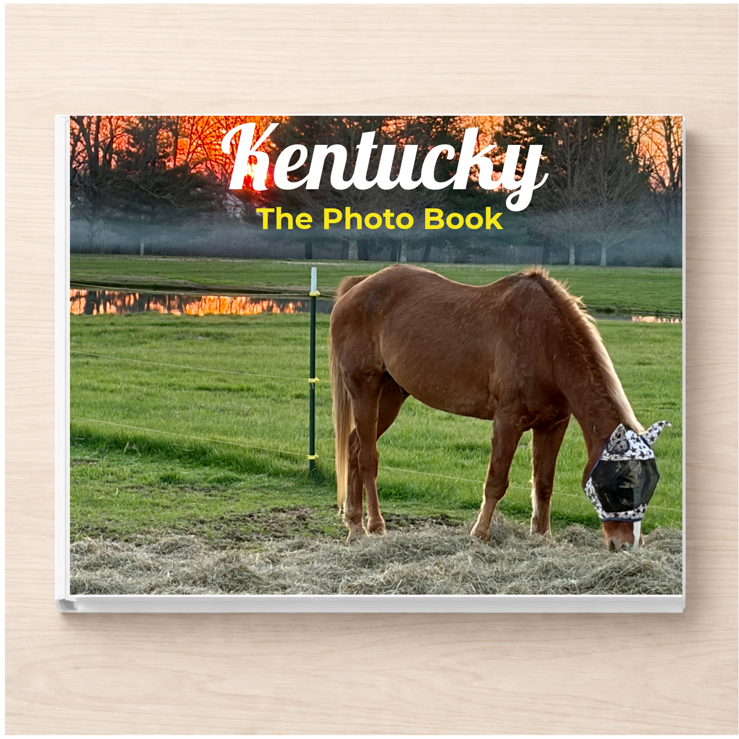 Kentucky: The Photo Book