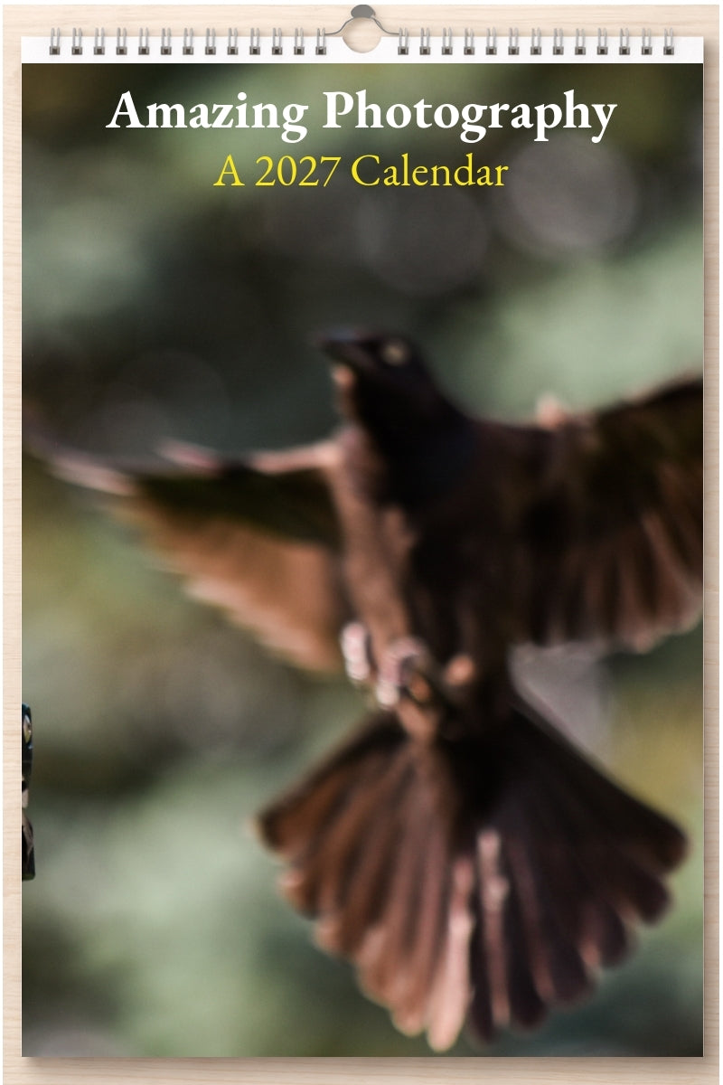 Amazing Photography: A 2027 Calendar