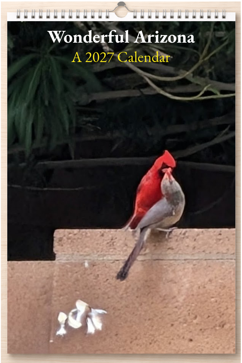 Wonderful Arizona: A 2027 Calendar
