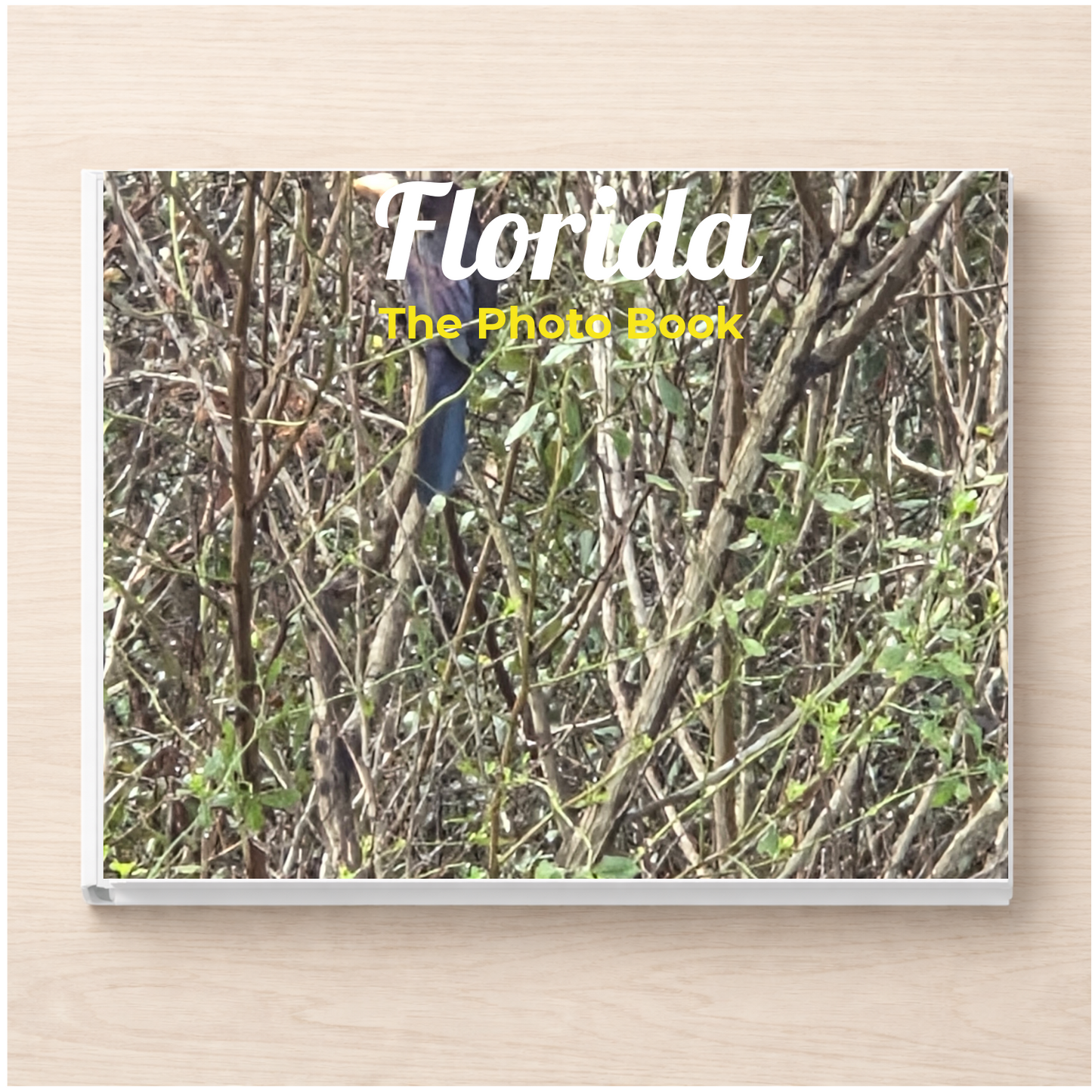 Florida: The Photo Book