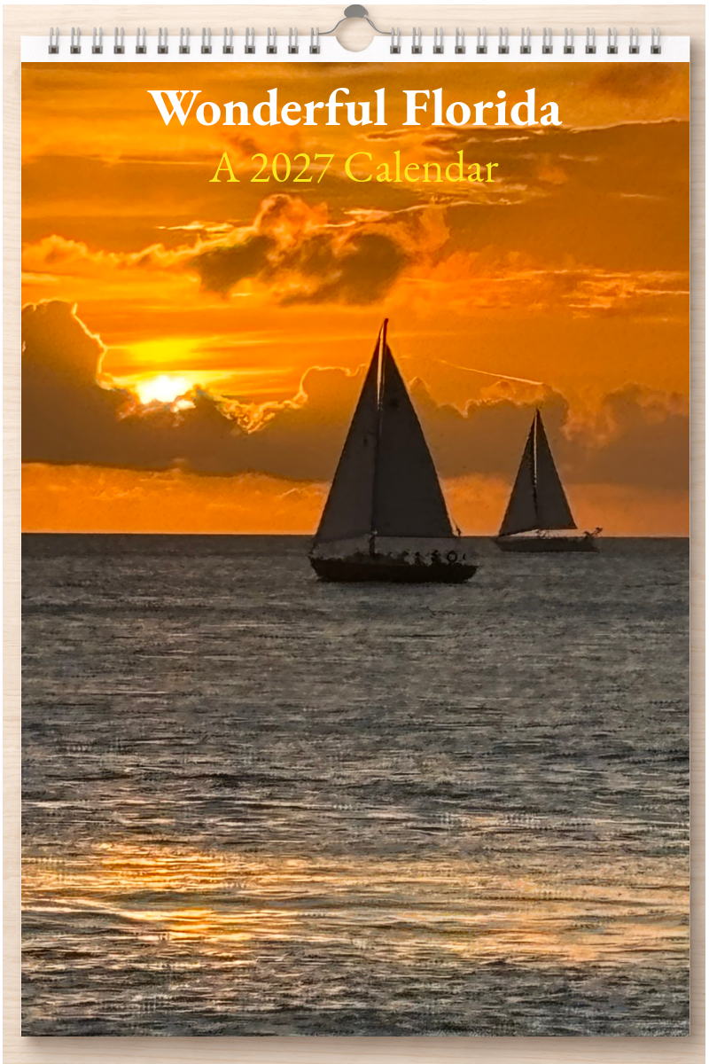 Wonderful Florida: A 2027 Calendar