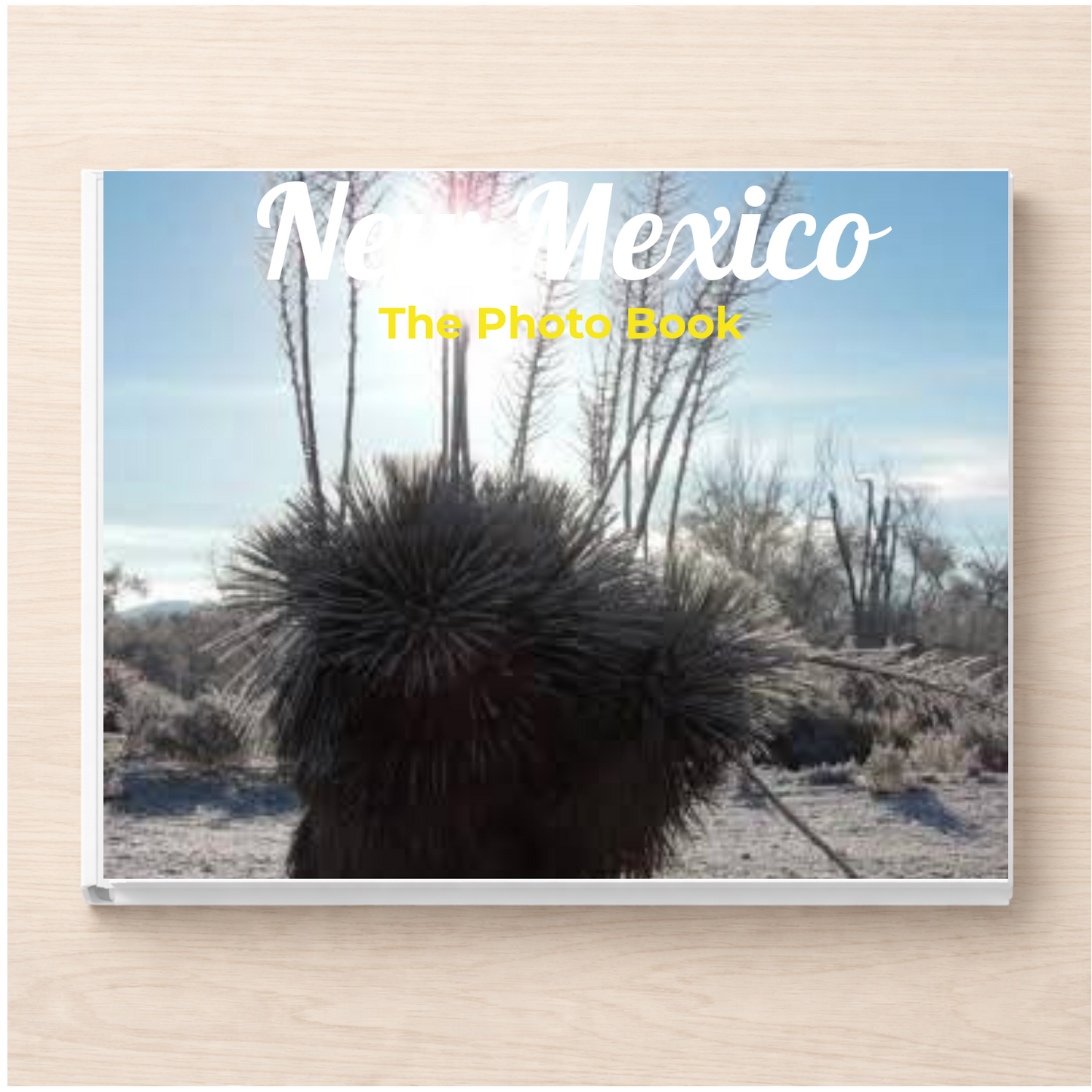 New Mexico: The Photo Book