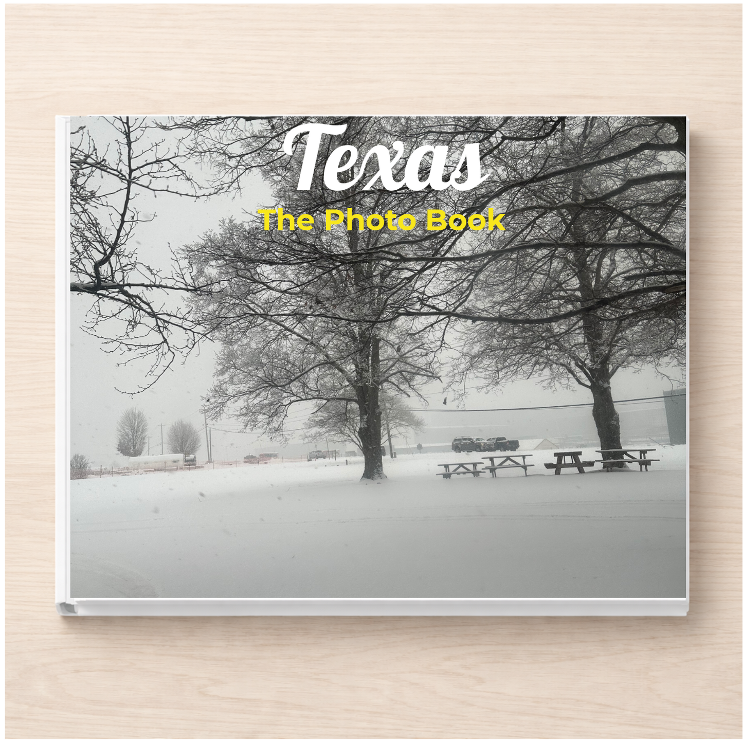 Texas: The Photo Book