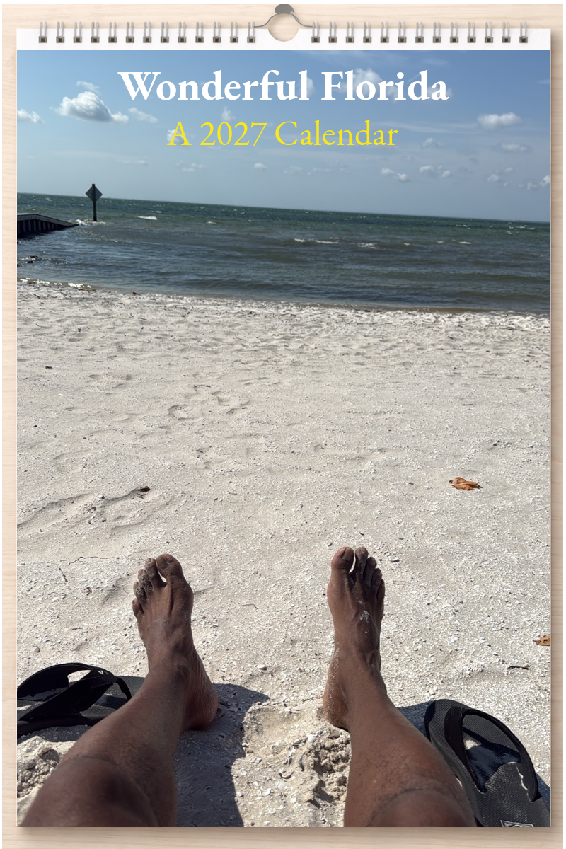 Wonderful Florida: A 2027 Calendar