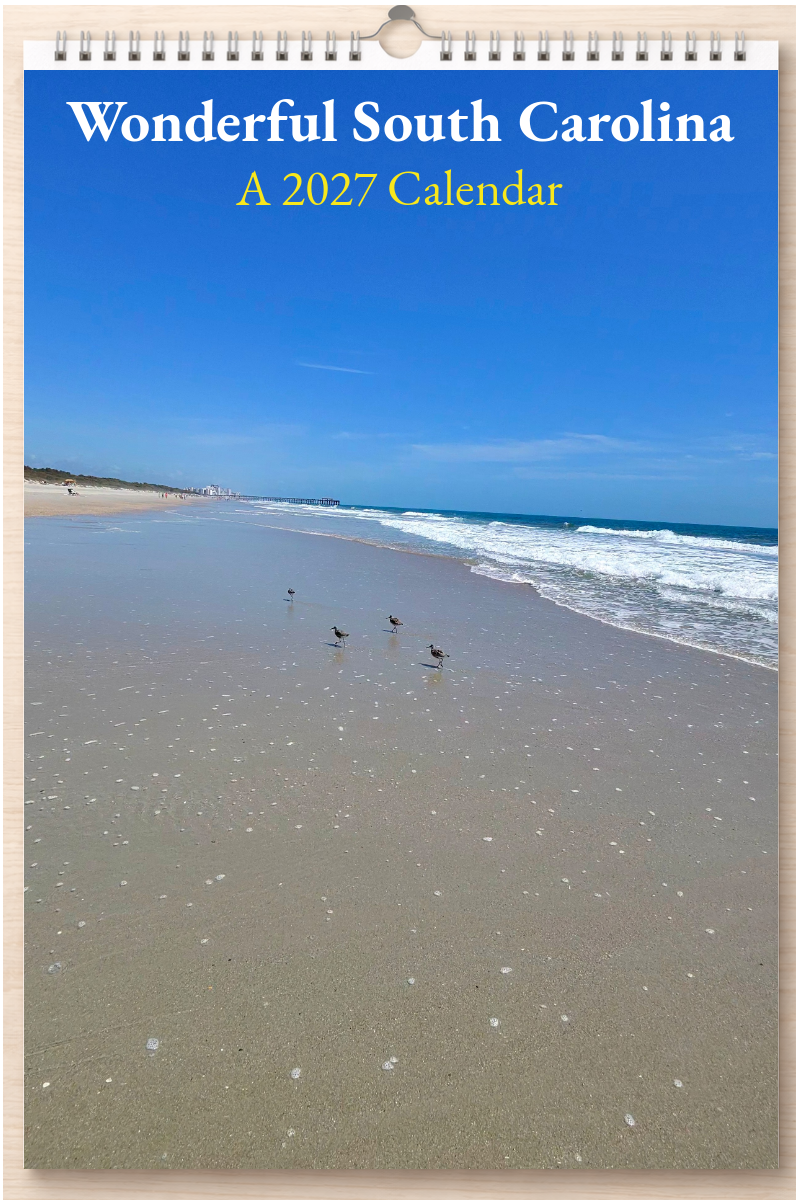Wonderful South Carolina: A 2027 Calendar