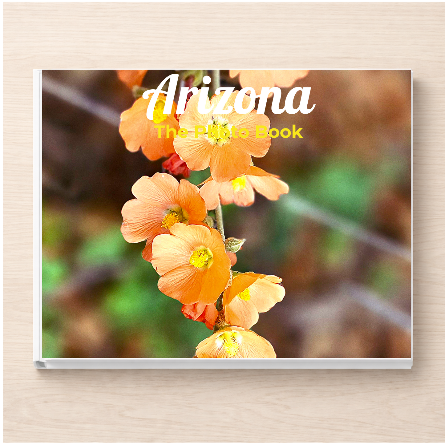 Arizona: The Photo Book