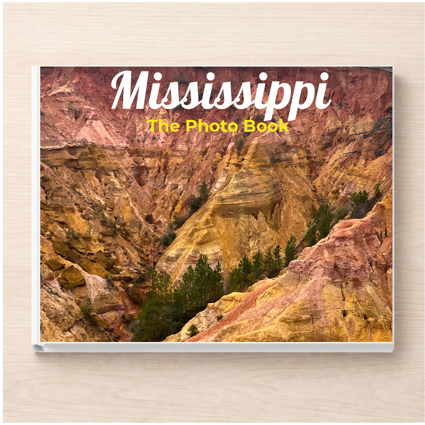 Mississippi: The Photo Book