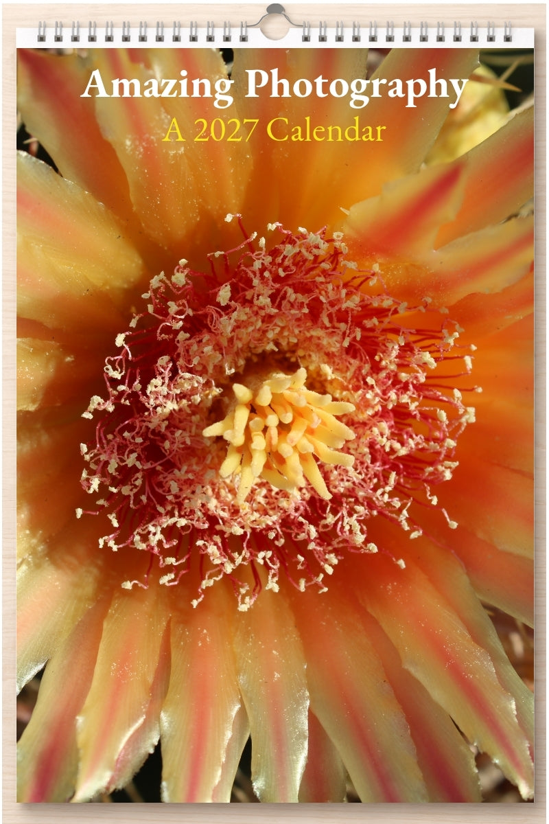Amazing Photography: A 2027 Calendar