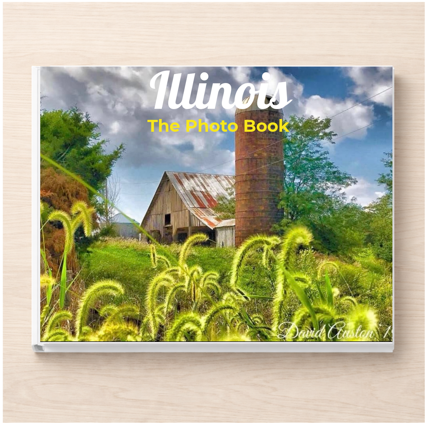Illinois: The Photo Book