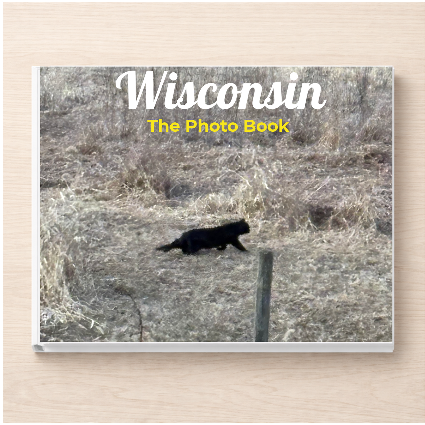 Wisconsin: The Photo Book