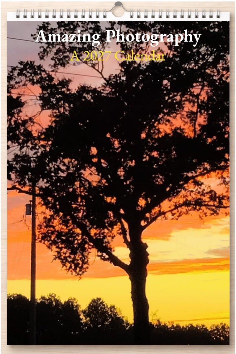 Amazing Photography: A 2027 Calendar