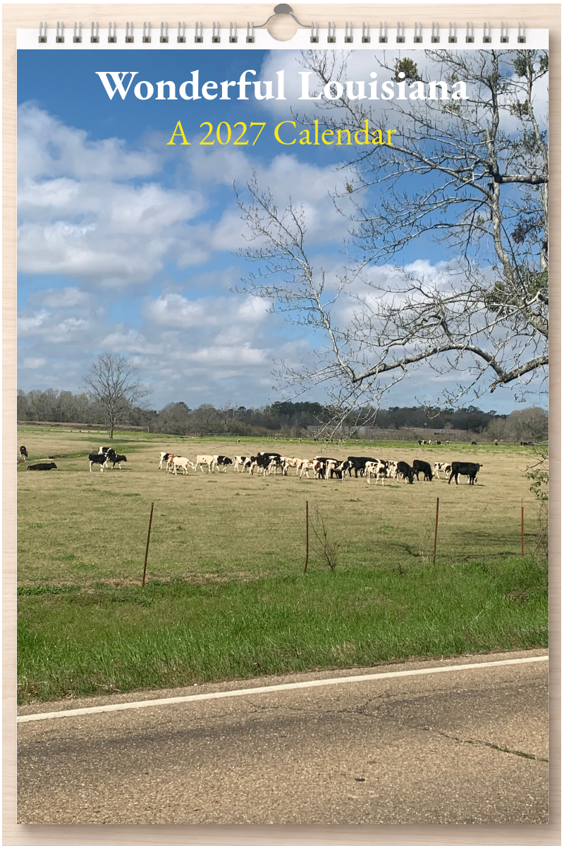 Wonderful Louisiana: A 2027 Calendar