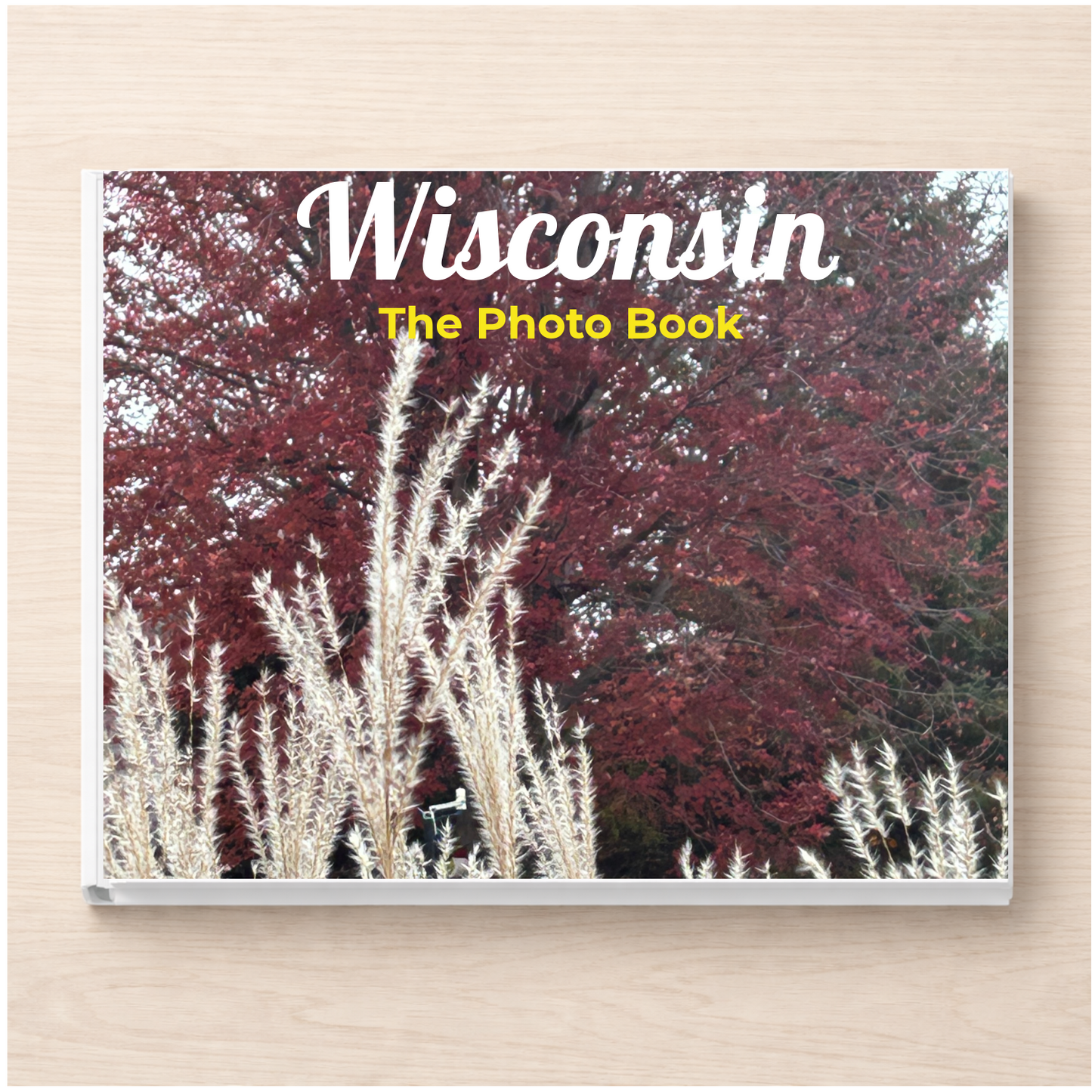 Wisconsin: The Photo Book